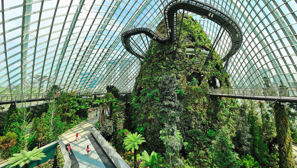 Gardens by the Bay The Institution of Structural Engineers